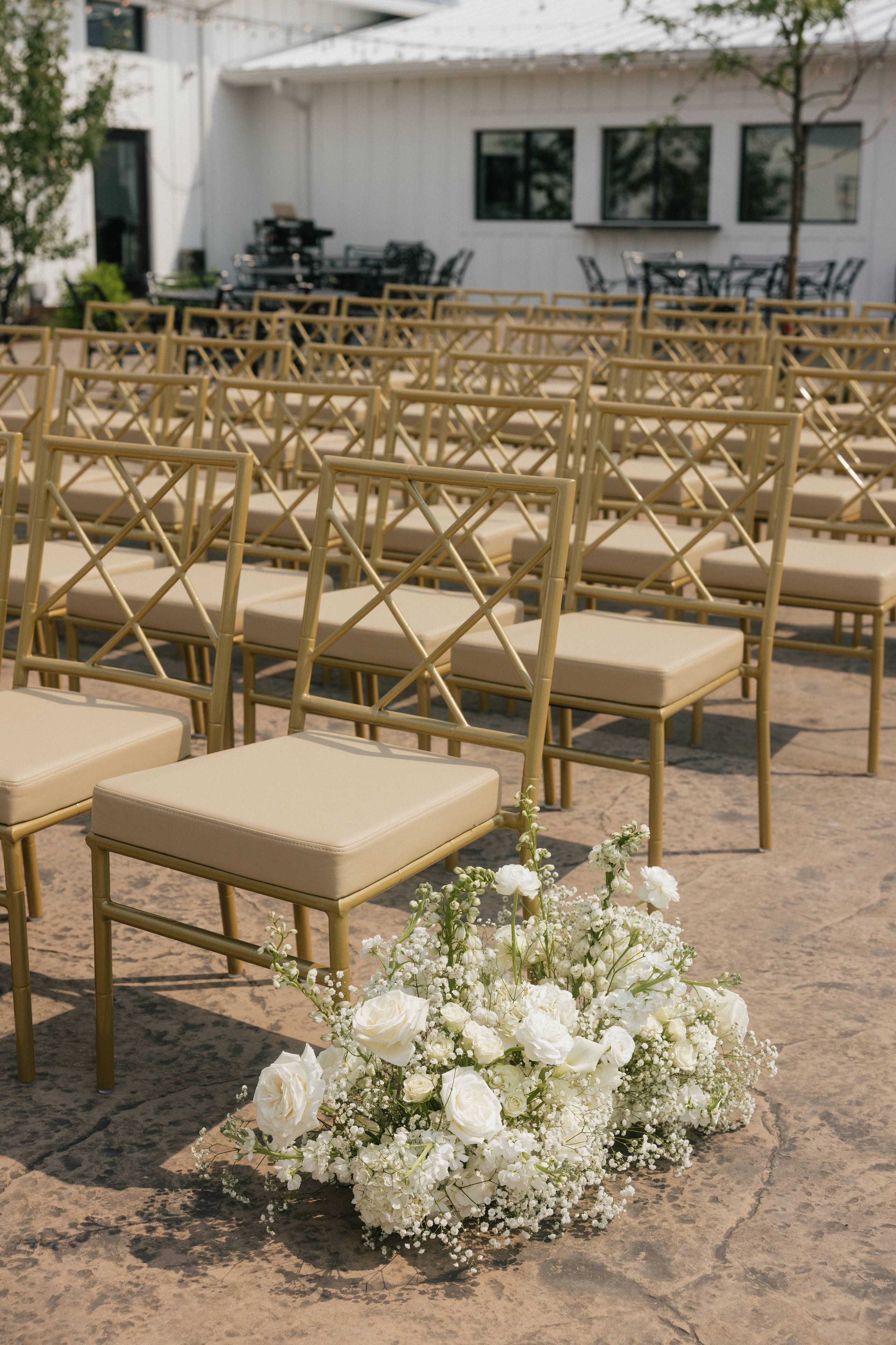 Aisle Meadow